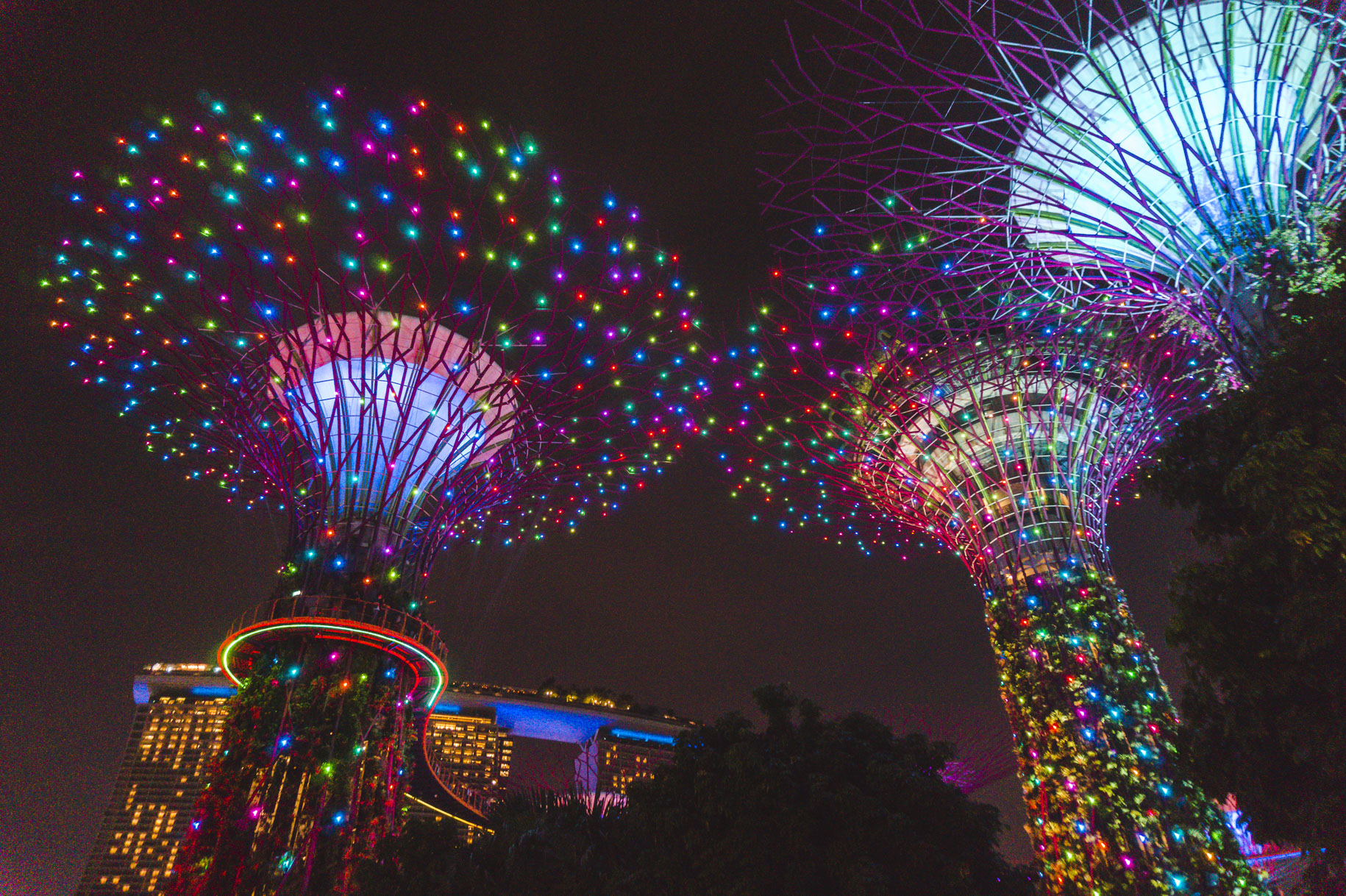 Singapore photos: Multi-coloured Supertree Grove at night in Gardens by the Bay is one of the best things to do in Singapore.