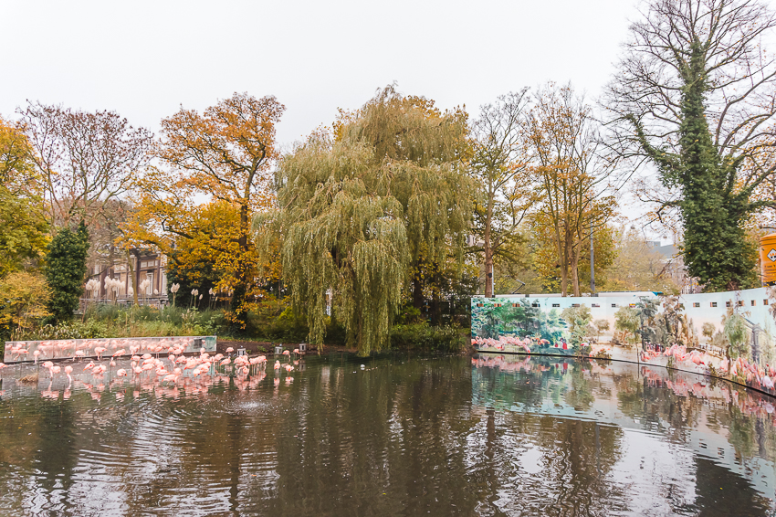 Three Days in Amsterdam: visit ARTIS Royal Zoo