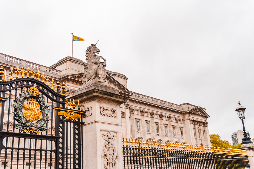 Things to do alone in London - say hello to the Queen at Buckingham Palace.